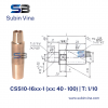 than-noi-dien-cuc-han-diem-css10-1640-1-subin-vina - ảnh nhỏ  1